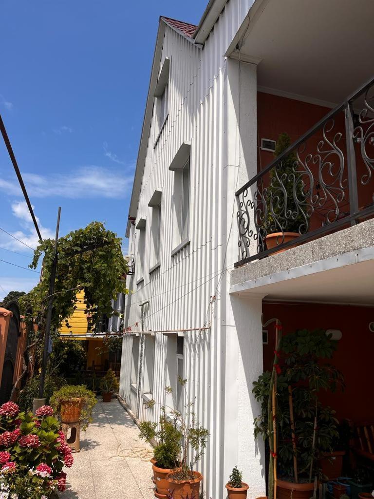 Hotel chexovi 24 Kobuleti Exteriér fotografie
